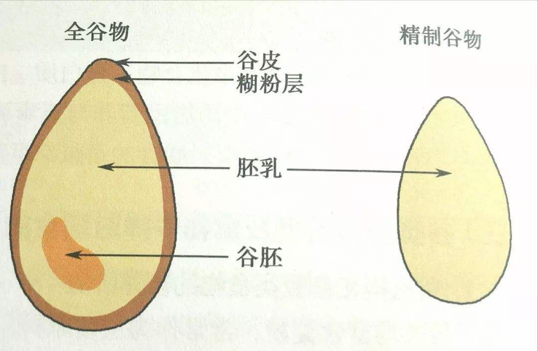 全谷物也要“挑”着吃,这样做身体最买账