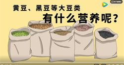豆类：黄豆、黑豆等大豆类有什么营养呢