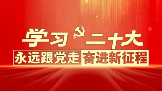 为全面推进中华民族伟大复兴而团结奋斗（认真学习宣传贯彻党的二十大精神）